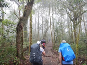 Starting our Journey