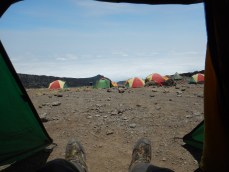 Looking Out of the Tent