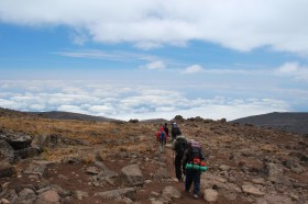 Continuing the Hike Down to Mweka Camp