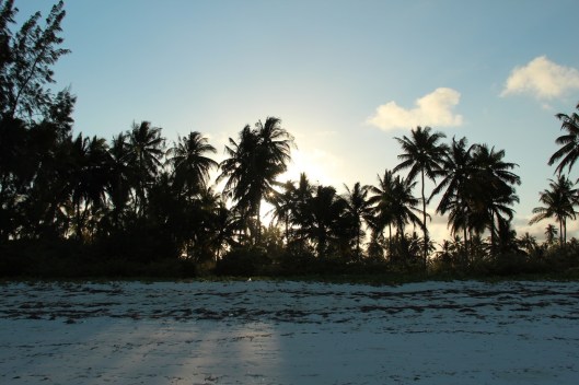 Sunset Over the Palm Trees