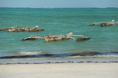 Local Dugout Fishing Boats