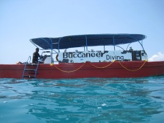 Our Dive Boat