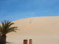 All of the Gymnasts Making Good Progress