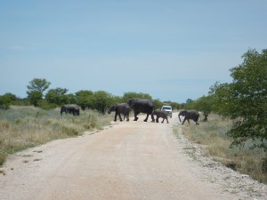 Right Infront of Us!!