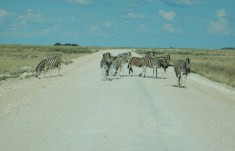 Our Way Has Been Blocked