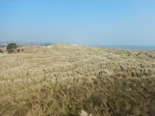Part of Curracloe Beach