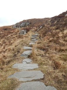 Steps Leading to the Top