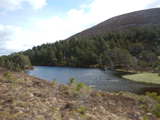 Lots of Water in Scotland!