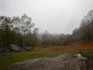 The best view we had. Can barely see the loch through the trees