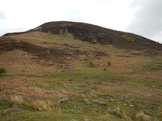 The Goal. Top of Conic Hill