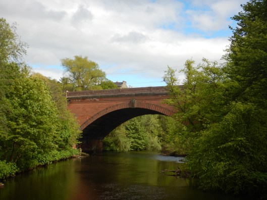 Great Views Along the River