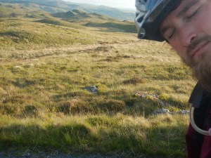 Oh so tired...that grass looks comfy