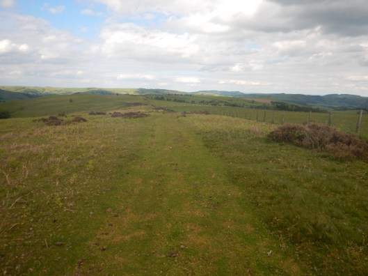 Nothing beats such a glorious home stretch!