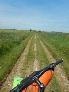 Some overgrown trail leading into the horizon