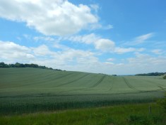 Beautiful Rolling Hills