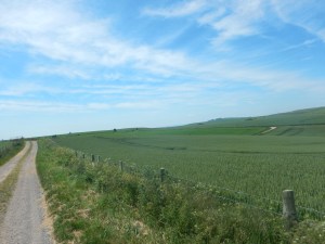Through lots of farmland I rode