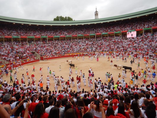 The Bulls Entering the Ring