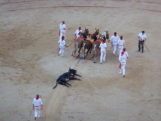 In the end he is dragged off to the butcher