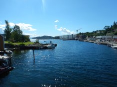 First sighting of the Hardangerfjord