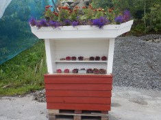 Fruit stands in Lote on the honor system