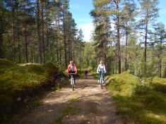 Through the woods and around the lake