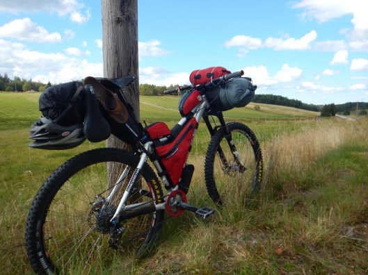 The bike rides great! Gears and all!