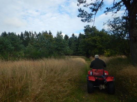 Enjoying a good ride through the countryside