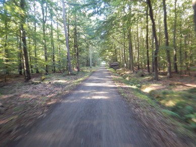 A great ride through the forest and along the coast to the ferry