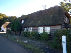 Thatched Roof with Thatched Walls
