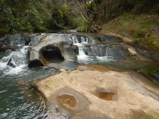 A little gem of a spot on the hike to Mokoro Falls