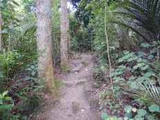 A quick and steep ascent