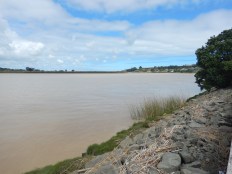 Wairoa River...Didn't think I could find a river as muddy as the Colorado!
