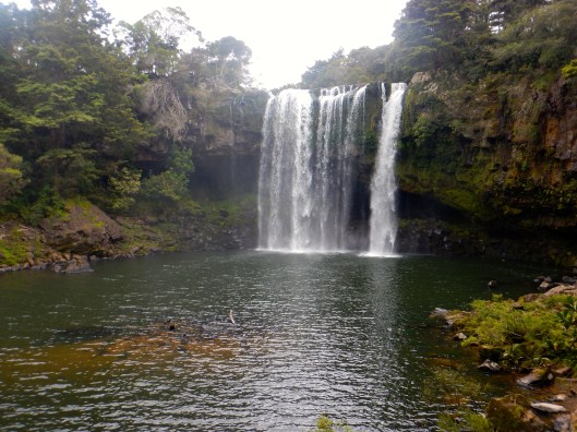 Rainbow Falls, the water just looks inviting but still a little too cold