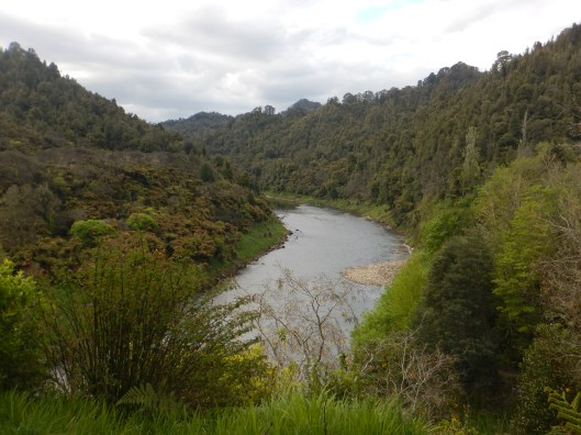 Overlooking the Whanganui River at Whakahoro