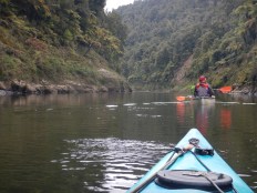 5 days of this you just can't beat it