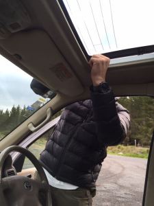 found it..bolt came loose