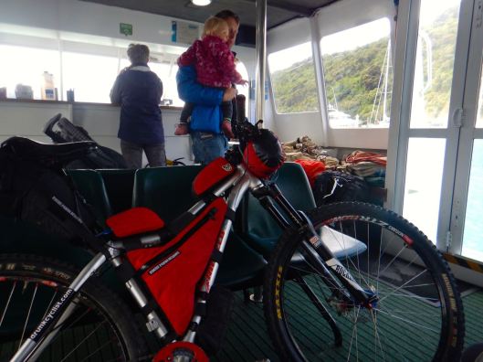 Enjoying the Cruise Through the Marlborough Sounds